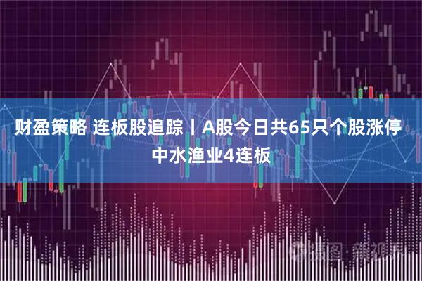 财盈策略 连板股追踪丨A股今日共65只个股涨停 中水渔业4连板